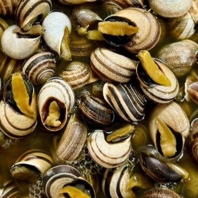 WhatsApp Image 2026-03-20 at 11.43.12 (1)